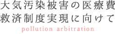 大気汚染被害の医療費救済制度実現に向けて